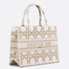 Dior Medium Book Tote Bag in White and Gold Macrocannage Embroidery