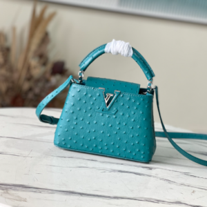 Louis Vuitton Mini Capucines Ostrich Leather Handbag – Blue