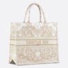 Dior Large Book Tote Bag in Butterfly Around The World Embroidery