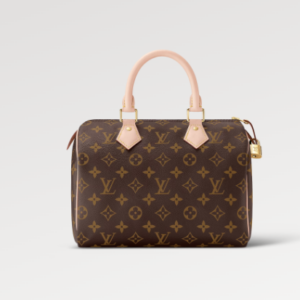 Louis Vuitton Speedy 25 Italian A-grade Handbag
