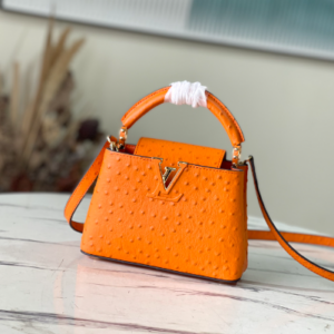 Louis Vuitton Mini Capucines Ostrich Leather Handbag – Orange